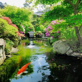 庭園（橋上から）