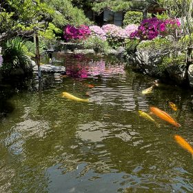 灰屋の春のお庭