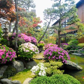灰屋の春のお庭