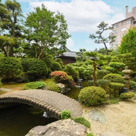 ロビーから見た灰屋のお庭