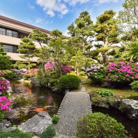 灰屋の春のお庭